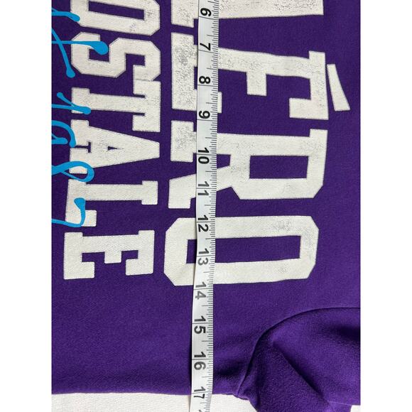 Aeropostale Women's Hoodie Small Solid Purple Graphic Print - Picture 5 of 6